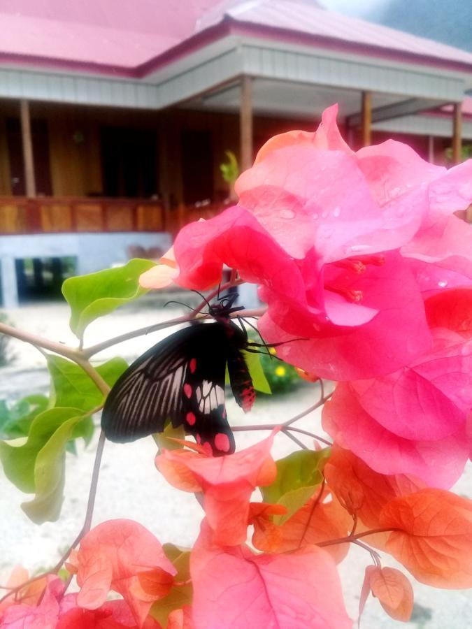 Nusa Nalan Beach Resort Rumah Olat Ngoại thất bức ảnh